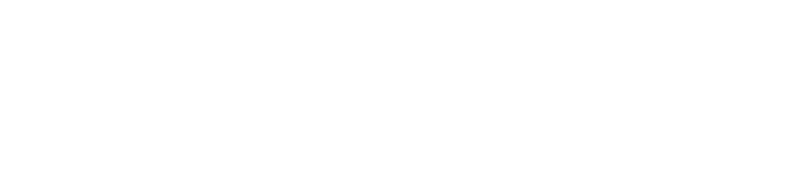 optimum-logo-white